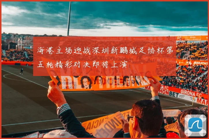 海港主场迎战深圳新鹏城足协杯第五轮精彩对决即将上演